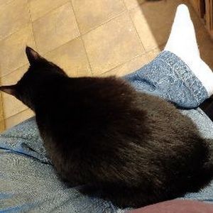 Meet your Posher, Robert